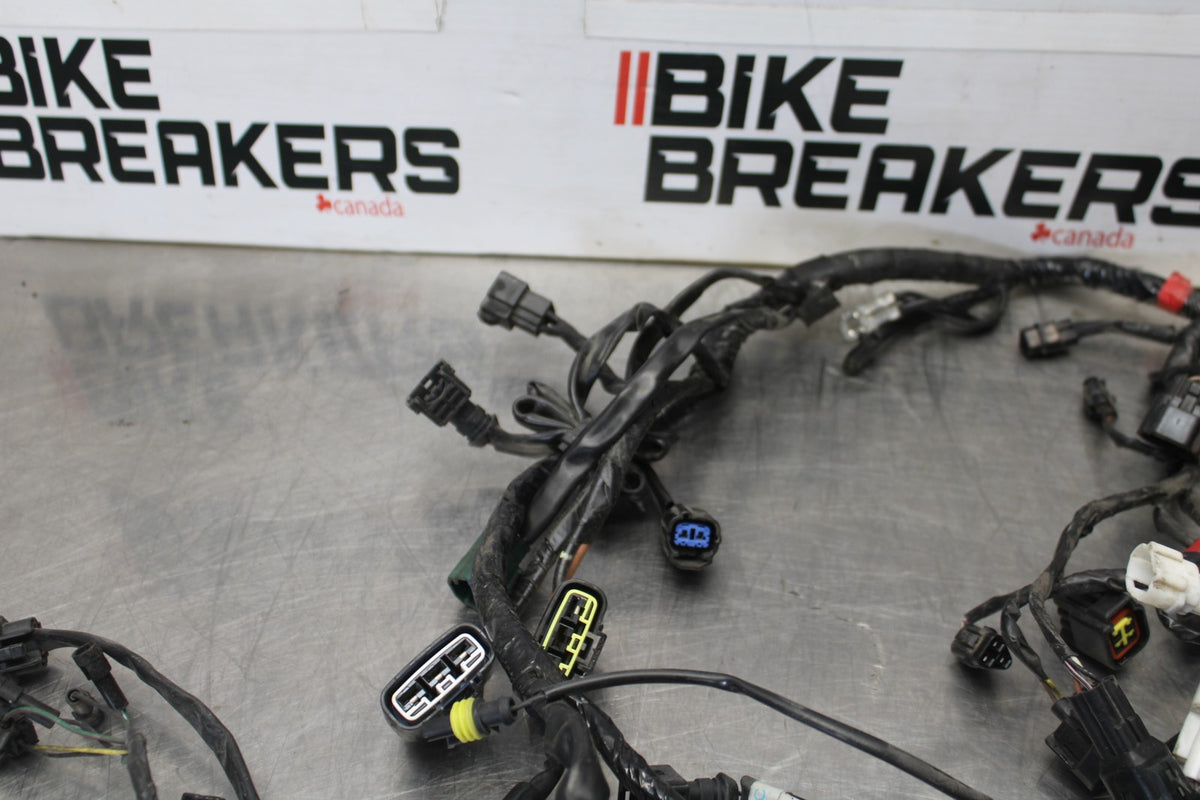 12 TRIUMPH STREET TRIPLE R MAIN ENGINE WIRING HARNESS MOTOR WIRE LOOM BB914