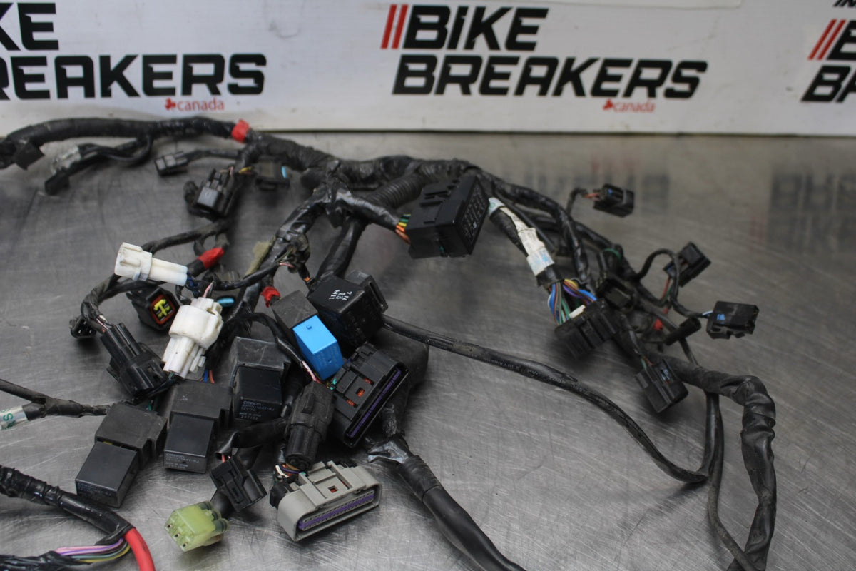 12 TRIUMPH STREET TRIPLE R MAIN ENGINE WIRING HARNESS MOTOR WIRE LOOM BB914
