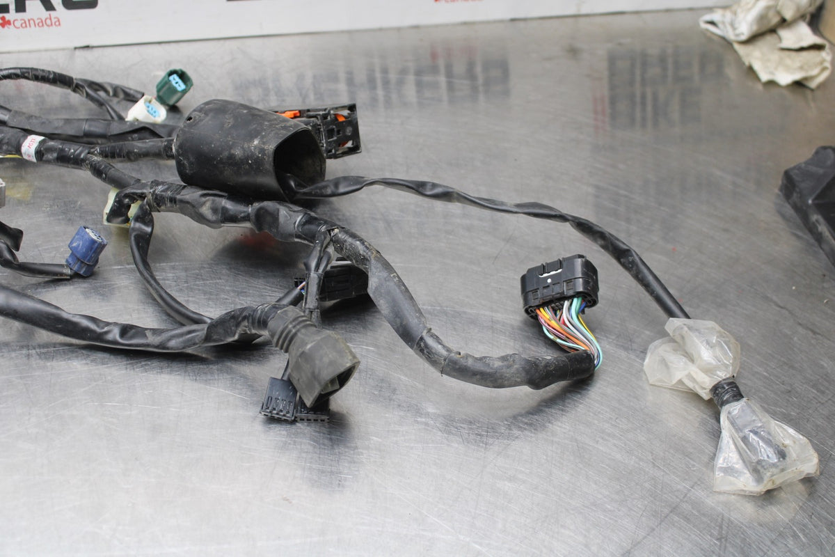 18 YAMAHA SUPER TENERE MAIN ENGINE WIRING HARNESS MOTOR WIRE LOOM BB832