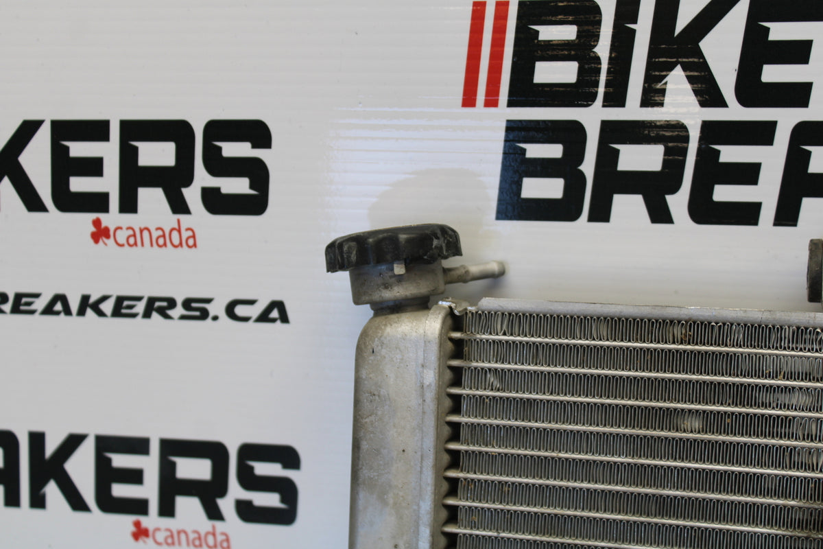 15-16 HONDA CB300F ENGINE RADIATOR MOTOR COOLER COOLING RADIATER BB150