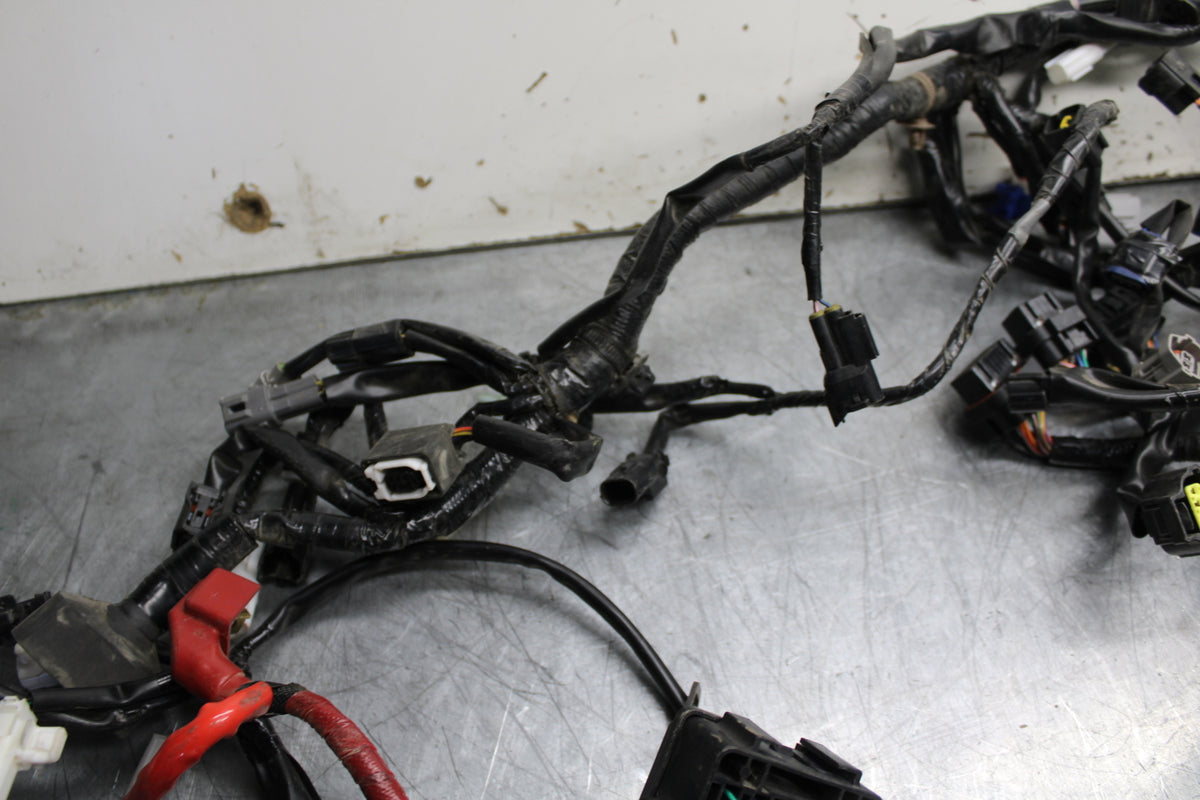 22-24 YAMAHA XSR900 MAIN ENGINE WIRING HARNESS MOTOR WIRE LOOM BB710