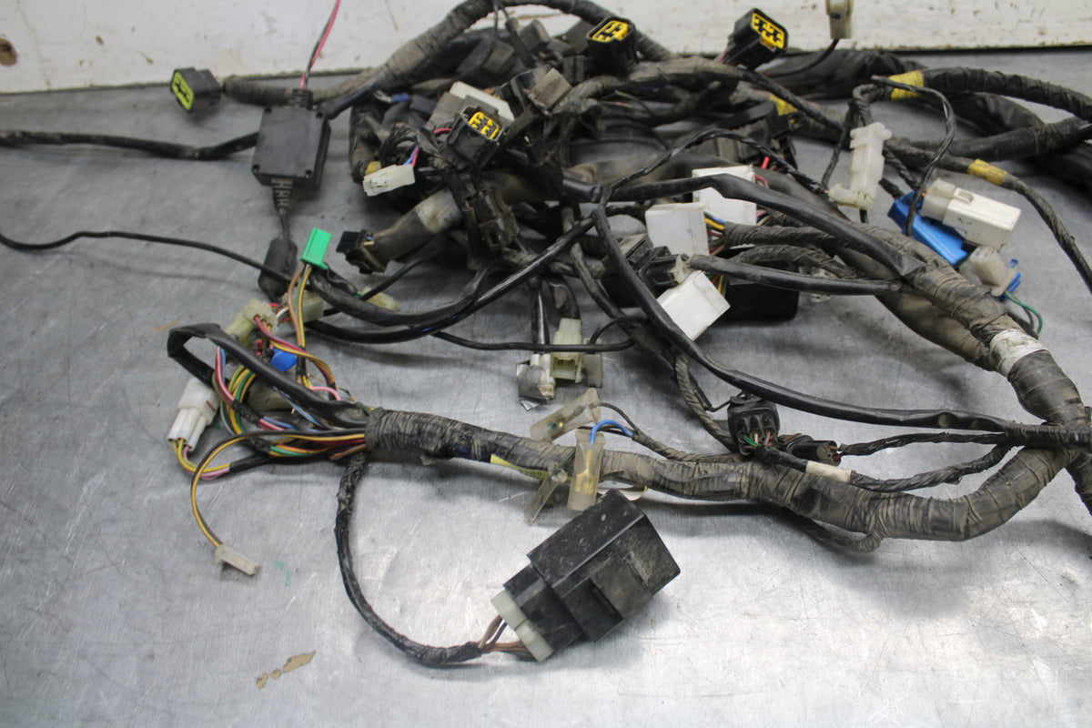 05-06 YAMAHA ROYAL STAR MAIN ENGINE WIRING HARNESS MOTOR WIRE LOOM BB697