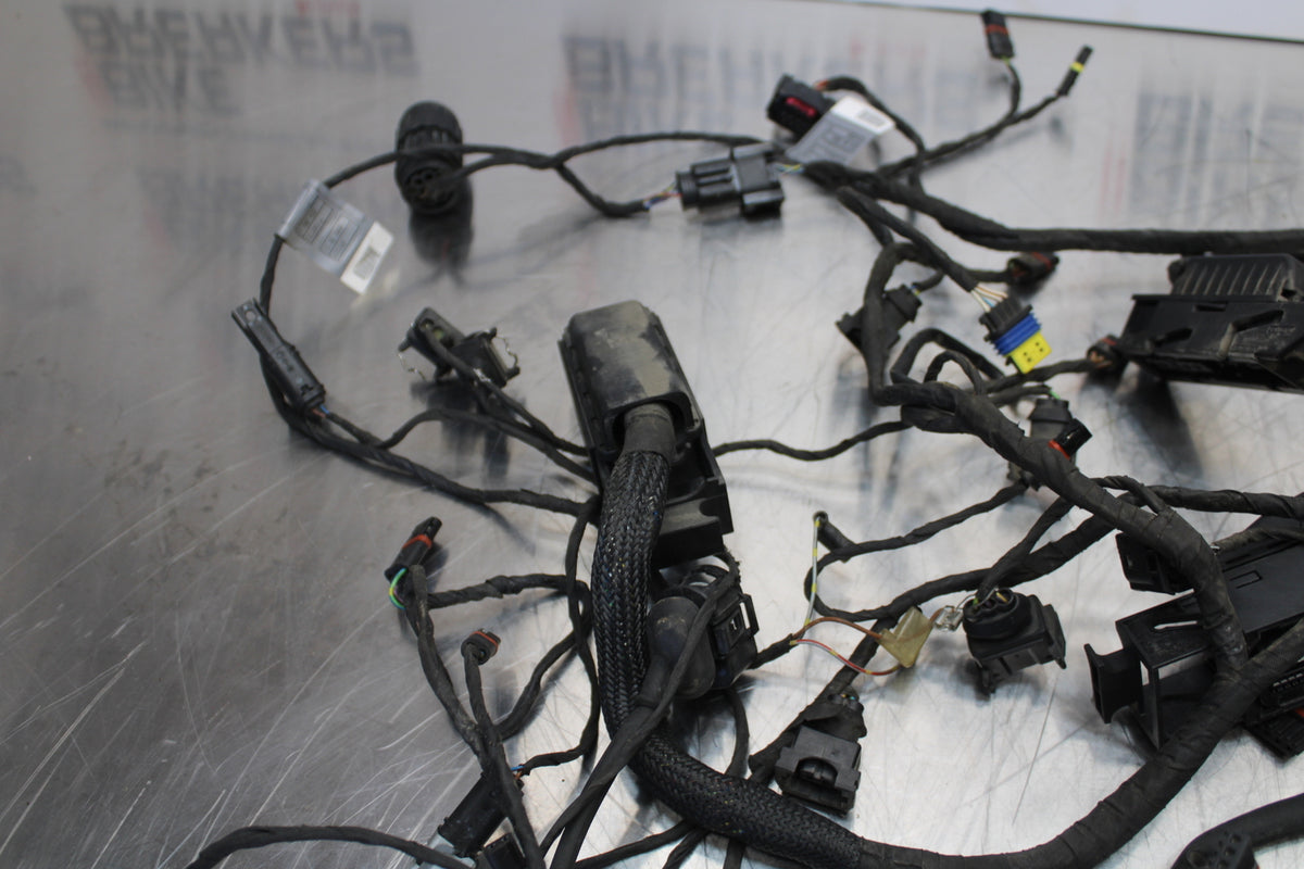 06-12 BMW F800ST MAIN ENGINE WIRING HARNESS MOTOR WIRE LOOM BB144