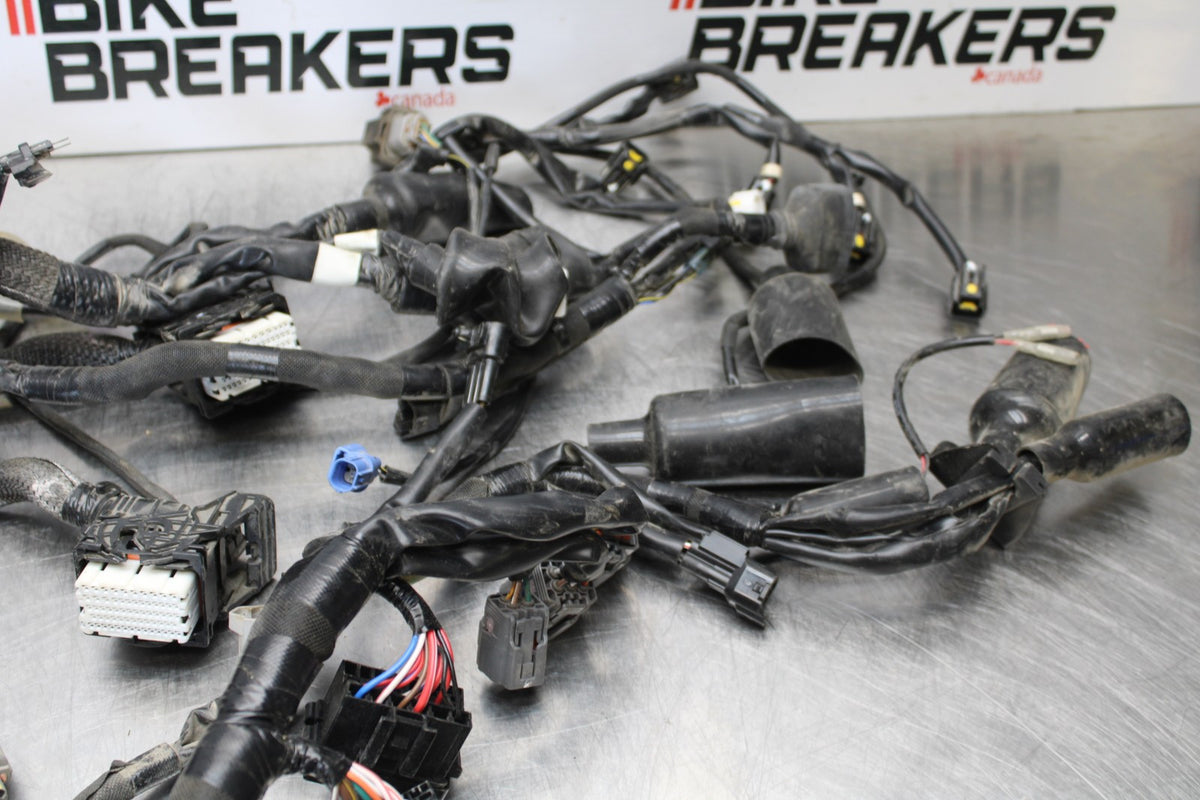 24-25 KAWASAKI NINJA ZX4R MAIN ENGINE WIRING HARNESS MOTOR WIRE LOOM BB174