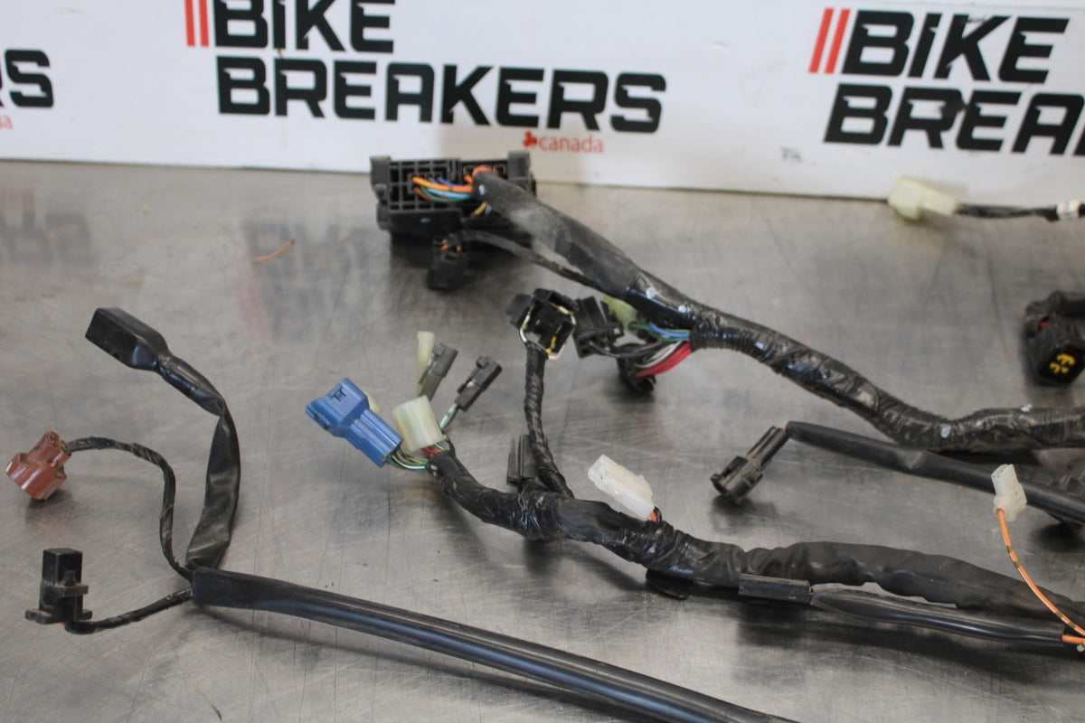 07 SUZUKI BOULEVARD M50 MAIN ENGINE WIRING HARNESS MOTOR WIRE LOOM BB897