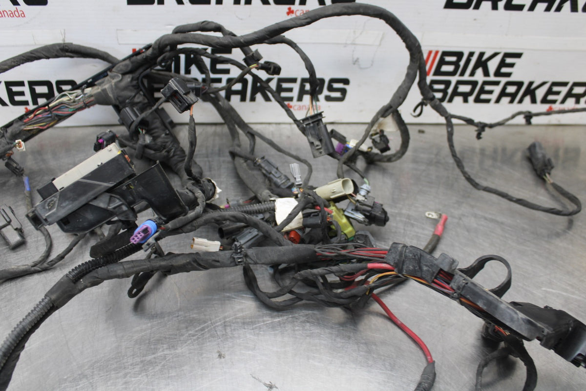 22 HARLEY-DAVIDSON PAN AMERICA 1250 MAIN WIRING HARNESS & MOTOR WIRE LOOM BB910