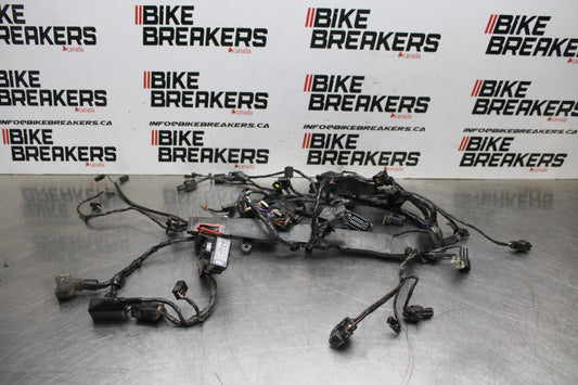 14 TRIUMPH STREET TRIPLE ABS MAIN ENGINE WIRING HARNESS MOTOR WIRE LOOM BB808