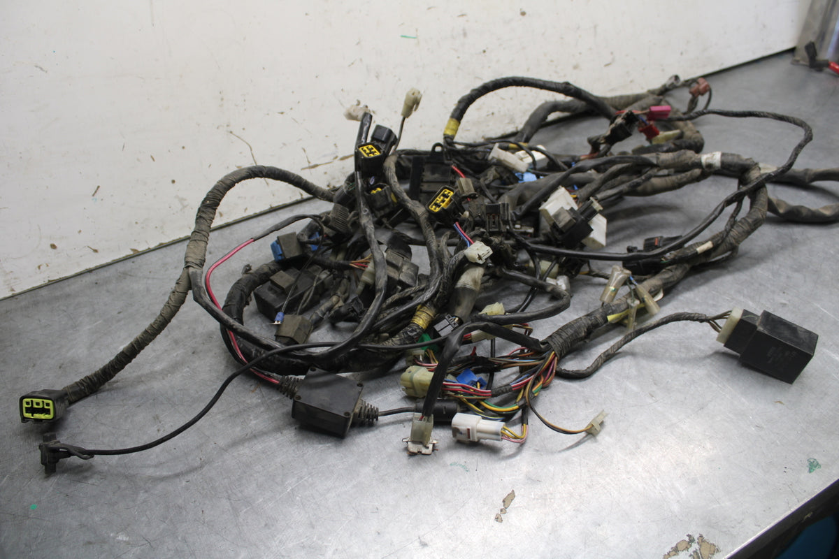 05-06 YAMAHA ROYAL STAR MAIN ENGINE WIRING HARNESS MOTOR WIRE LOOM BB697