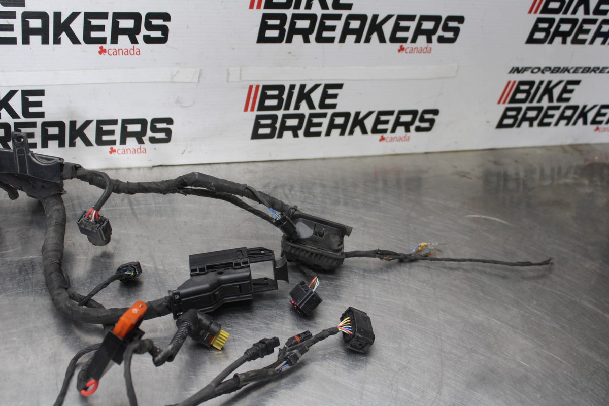 20-23 BMW F900R MAIN ENGINE WIRING HARNESS MOTOR WIRE LOOM BB923