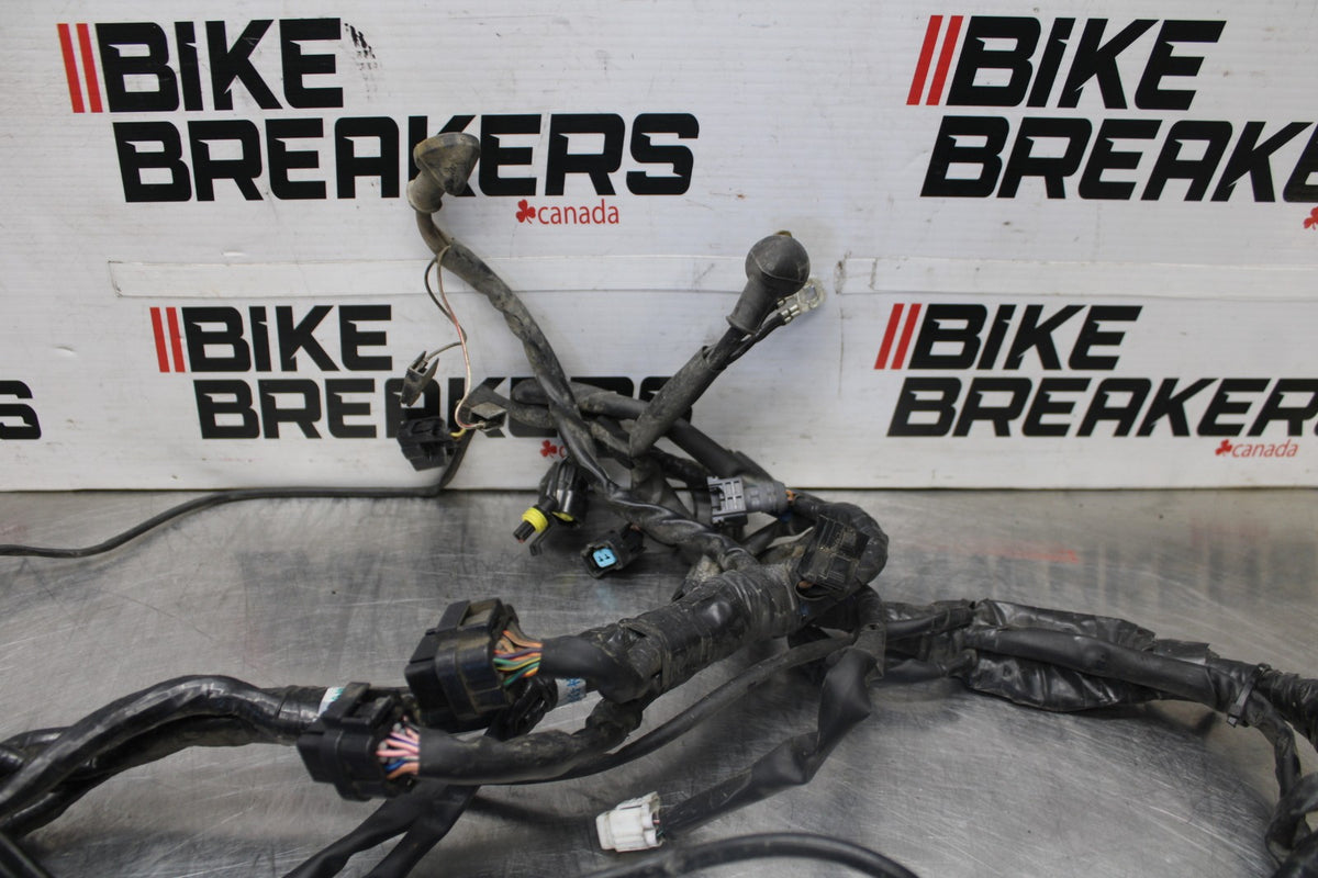 05-08 TRIUMPH SPEED TRIPLE 1050 MAIN ENGINE WIRING HARNESS MOTOR WIRE LOOM BB933
