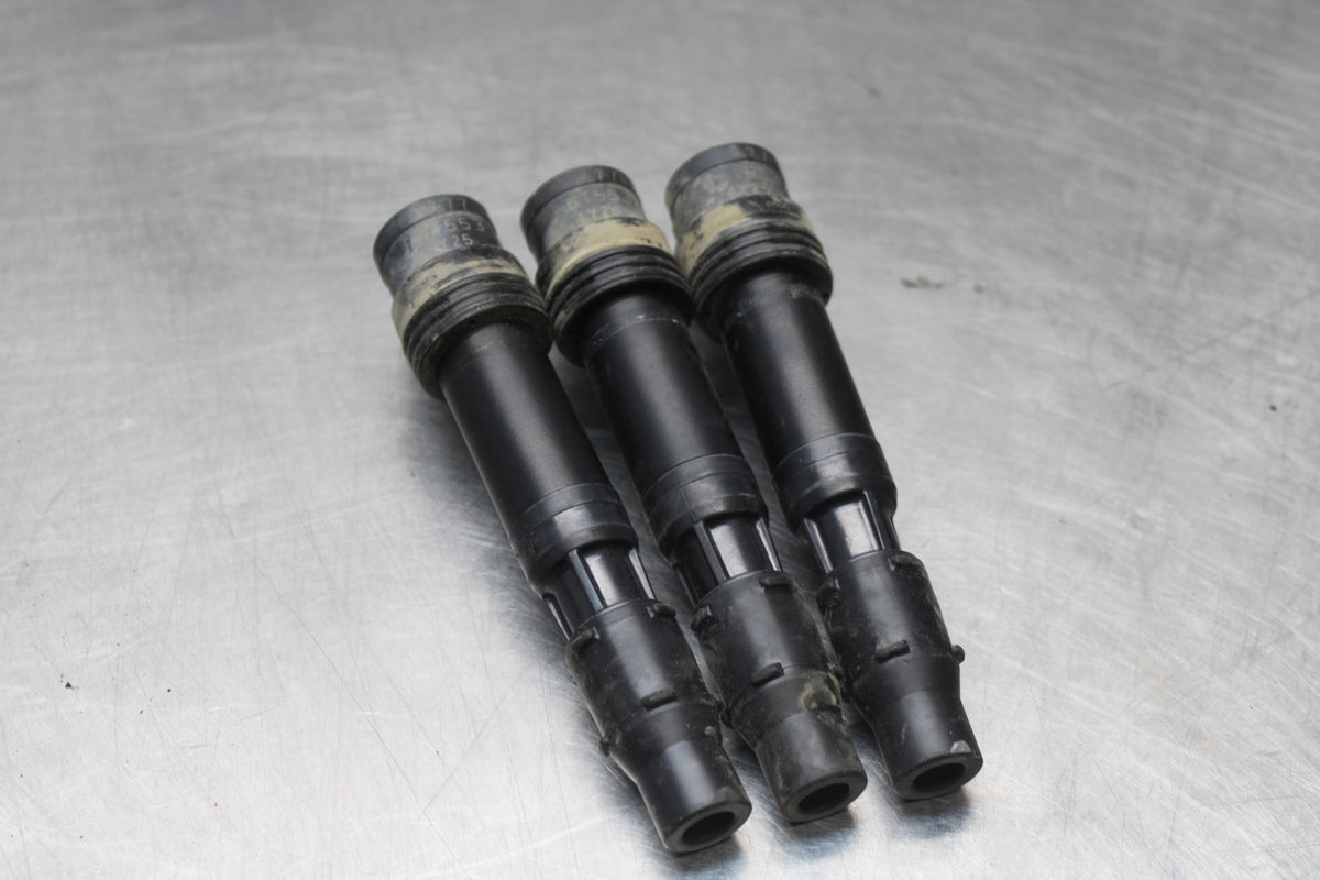 15 TRIUMPH TIGER 800 IGNITION COILS COIL SPARK PLUG CAPS BB873