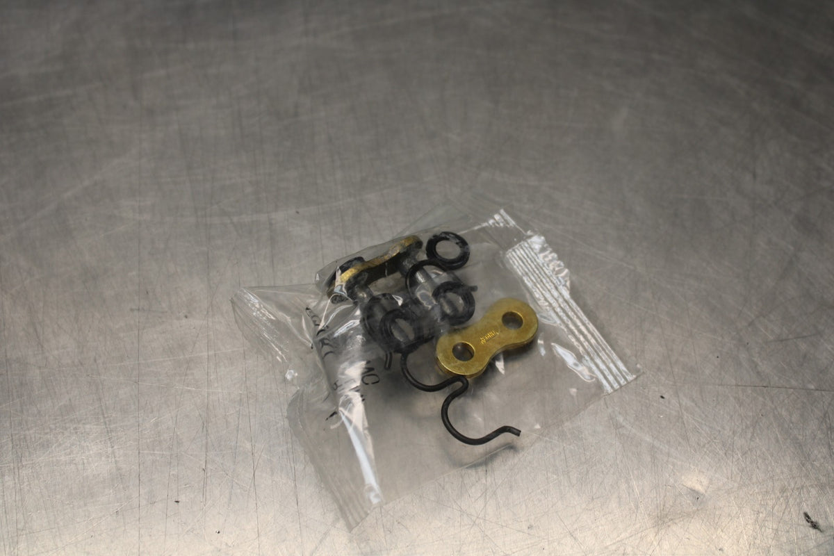 REGINA NEW!! TOURING MAIN DRIVE CHAIN  BB876