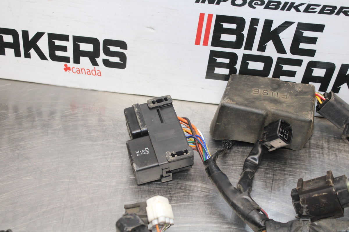 03 SUZUKI SV650 MAIN ENGINE WIRING HARNESS MOTOR WIRE LOOM BB846