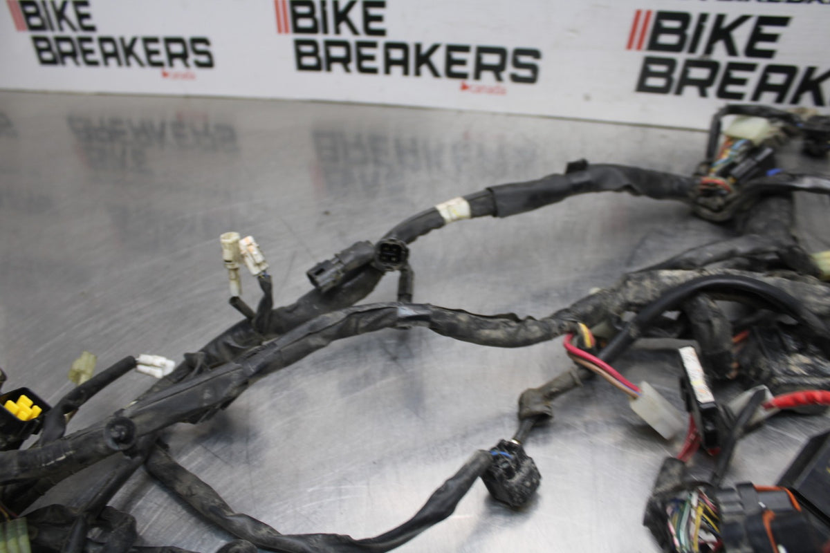 08-16 YAMAHA YZF R6 MAIN ENGINE WIRING HARNESS MOTOR WIRE LOOM BB797