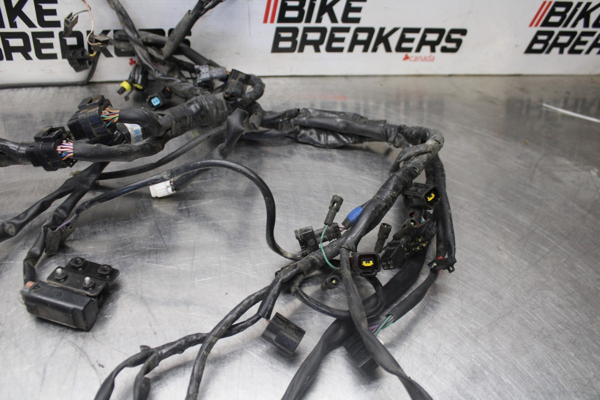 05-08 TRIUMPH SPEED TRIPLE 1050 MAIN ENGINE WIRING HARNESS MOTOR WIRE LOOM BB933