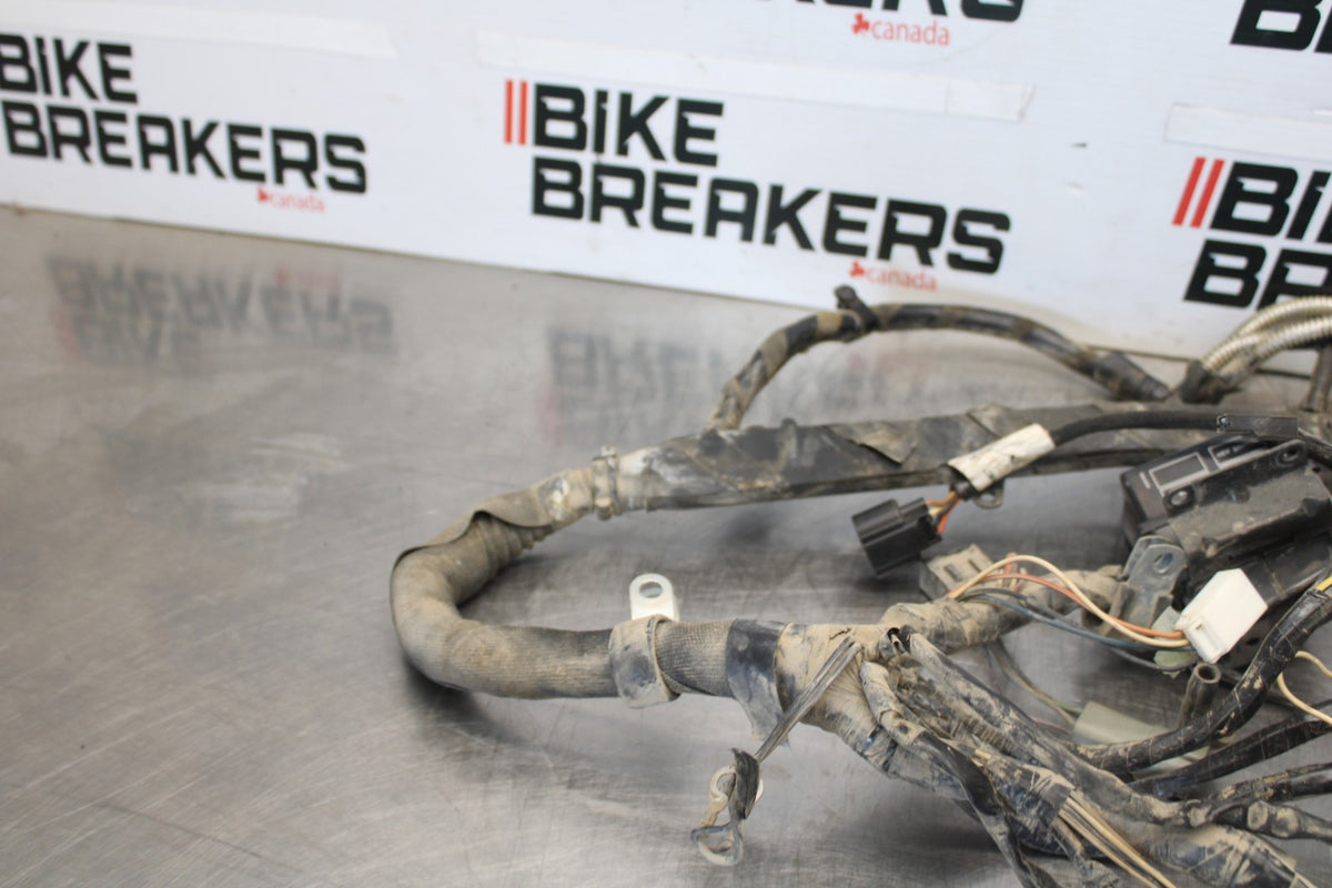 04 BUELL FIREBOLT XB12R ENGINE WIRING HARNESS MOTOR WIRE LOOM BB903