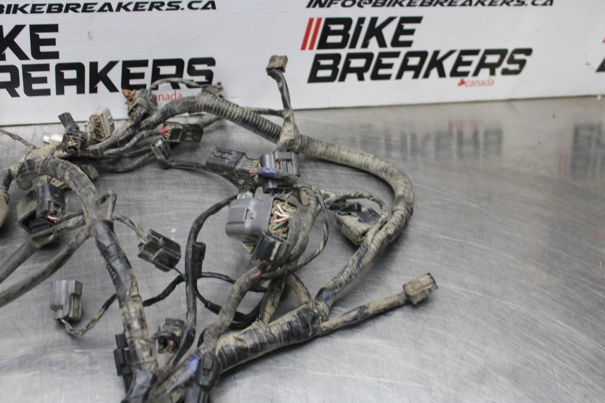 15 TRIUMPH TIGER 800 MAIN ENGINE WIRING HARNESS MOTOR WIRE LOOM BB873