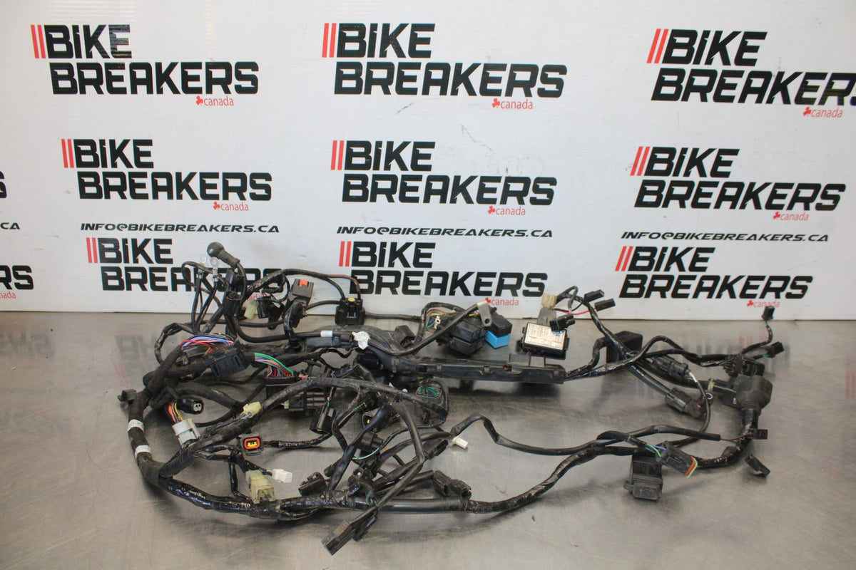 20 TRIUMPH STREET TRIPLE 765 MAIN ENGINE WIRING HARNESS MOTOR WIRE LOOM BB864