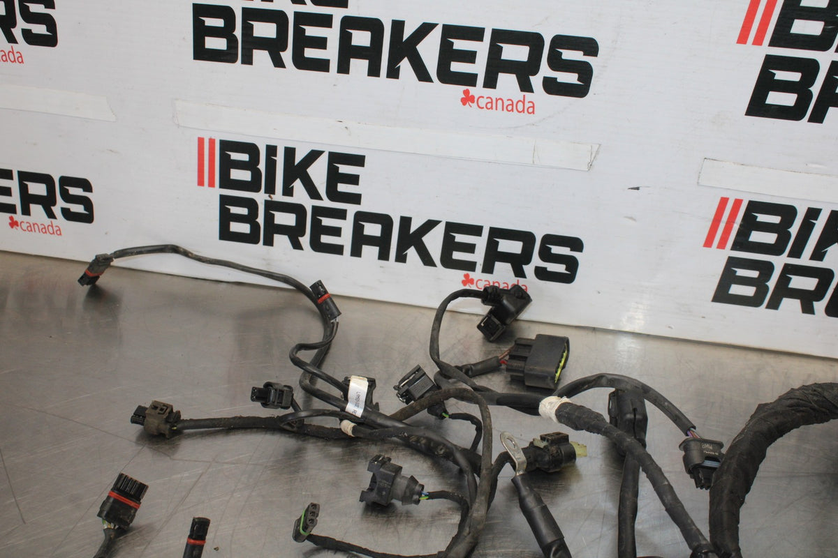 17-20 BMW S1000R FULL ENGINE WIRING HARNESS MOTOR WIRE LOOM BB909