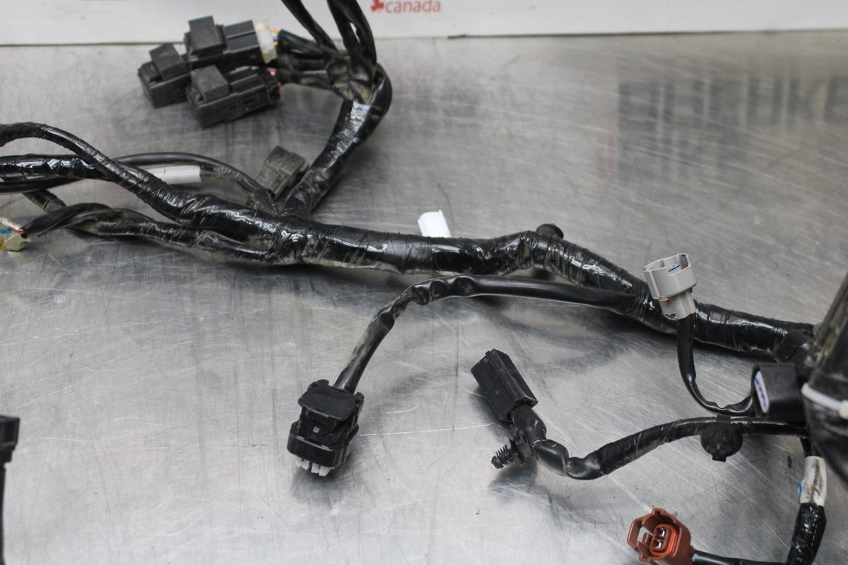 17-18 YAMAHA YZF R3 MAIN ENGINE WIRING HARNESS MOTOR WIRE LOOM BB788