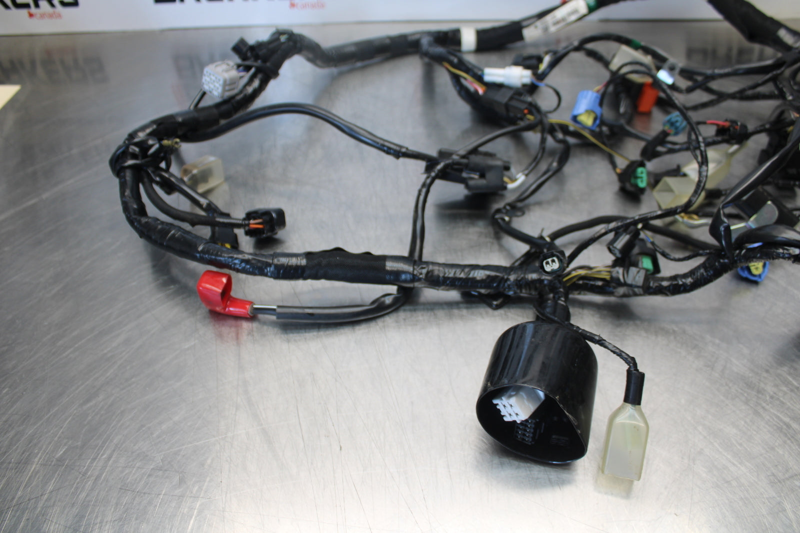 23-24 KAWASAKI NINJA ZX14R NEW!!  MAIN ENGINE WIRING HARNESS WIRE LOOM BB169