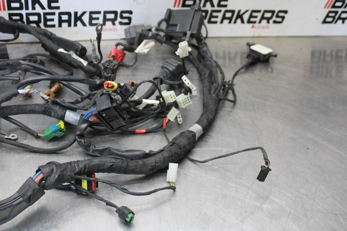 16 APRILIA TUONO V4 1100 ENGINE WIRING HARNESS MOTOR WIRE LOOM BB905