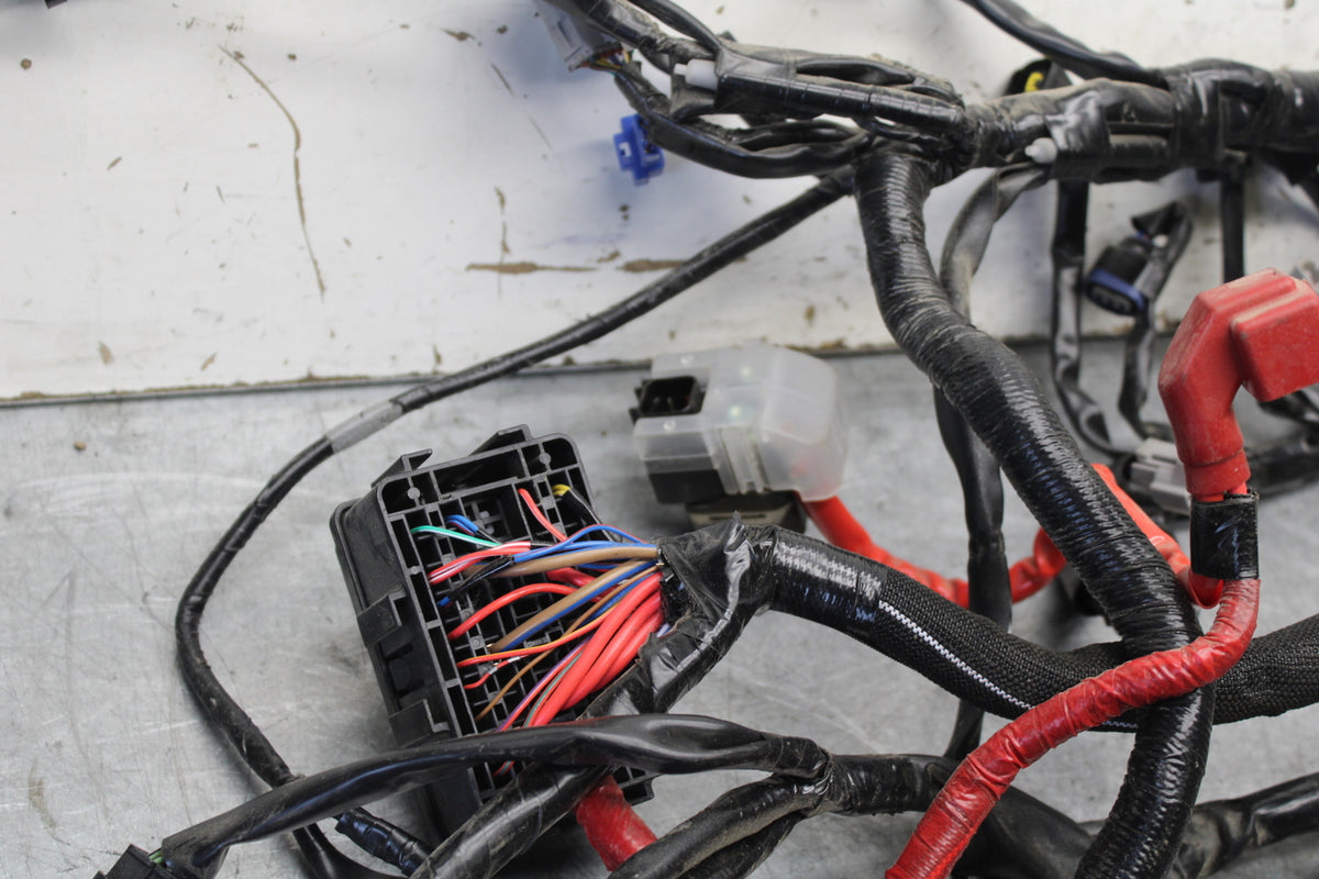 22-24 YAMAHA XSR900 MAIN ENGINE WIRING HARNESS MOTOR WIRE LOOM   BB683