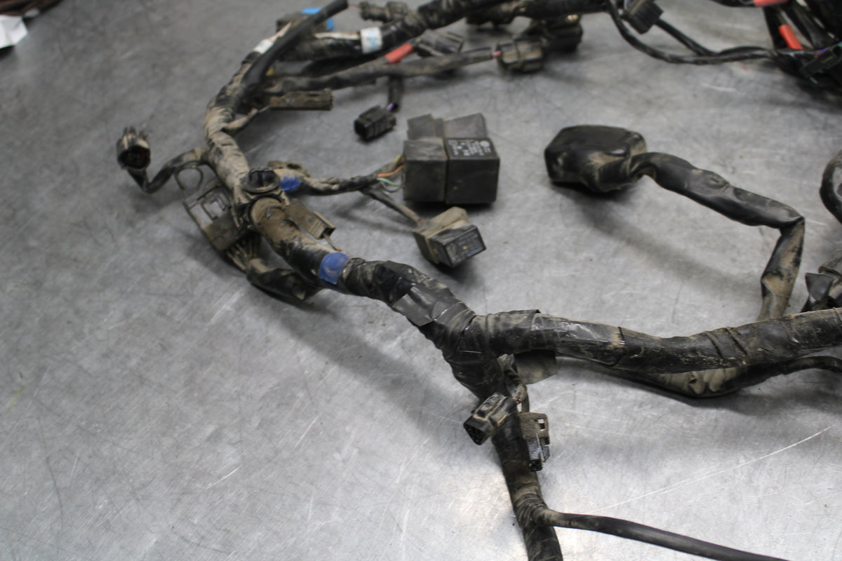 14-16 TRIUMPH AMERICA LT MAIN ENGINE WIRING HARNESS MOTOR WIRE LOOM BB720