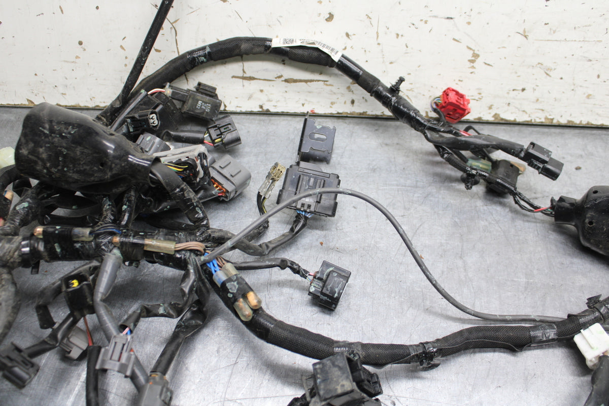 24 KAWASAKI NINJA 500 ABS MAIN ENGINE WIRING HARNESS MOTOR WIRE LOOM BB744