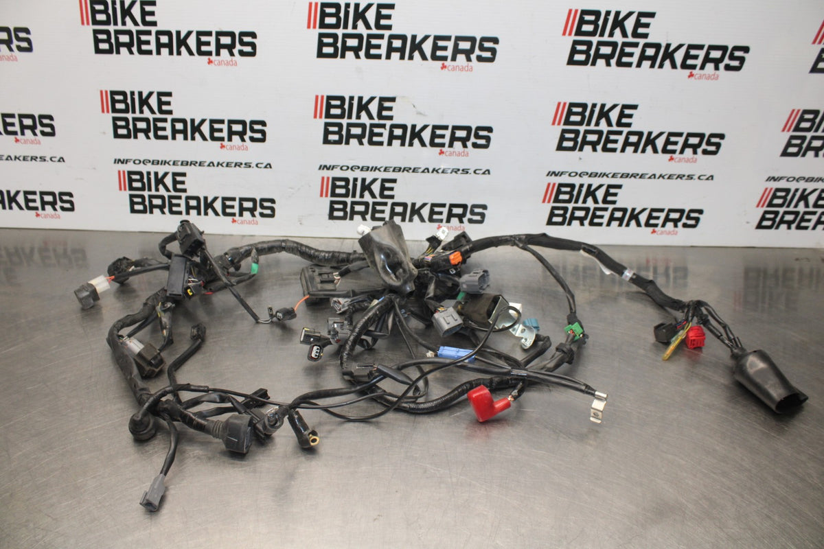 18-26 KAWASAKI Z400 MAIN ENGINE WIRING HARNESS MOTOR WIRE LOOM BB852