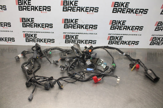 18-26 KAWASAKI Z400 MAIN ENGINE WIRING HARNESS MOTOR WIRE LOOM BB852