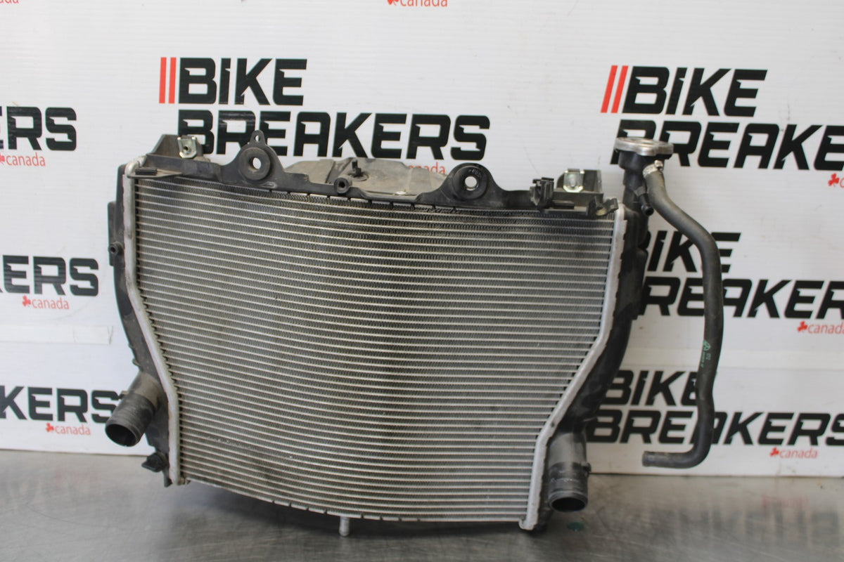17-20 BMW S1000R ENGINE RADIATOR MOTOR COOLER COOLING RADIATER BB909