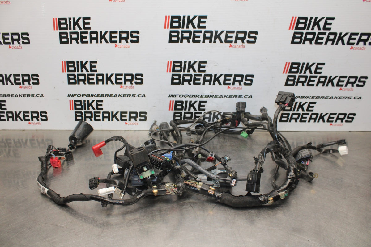 24 KAWASAKI NINJA 500 ABS MAIN ENGINE WIRING HARNESS MOTOR WIRE LOOM BB818