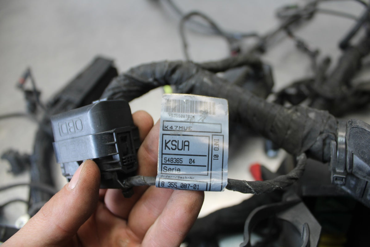 17-20 BMW S1000R FULL ENGINE WIRING HARNESS MOTOR WIRE LOOM BB909