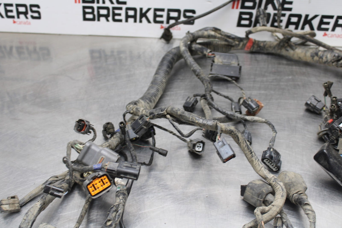 15 TRIUMPH TIGER 800 MAIN ENGINE WIRING HARNESS MOTOR WIRE LOOM BB873