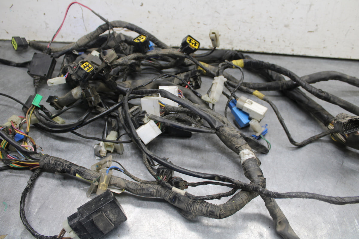 05-06 YAMAHA ROYAL STAR MAIN ENGINE WIRING HARNESS MOTOR WIRE LOOM BB697