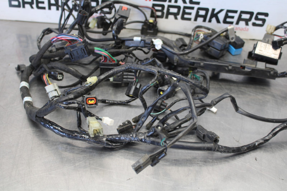 20 TRIUMPH STREET TRIPLE 765 MAIN ENGINE WIRING HARNESS MOTOR WIRE LOOM BB864
