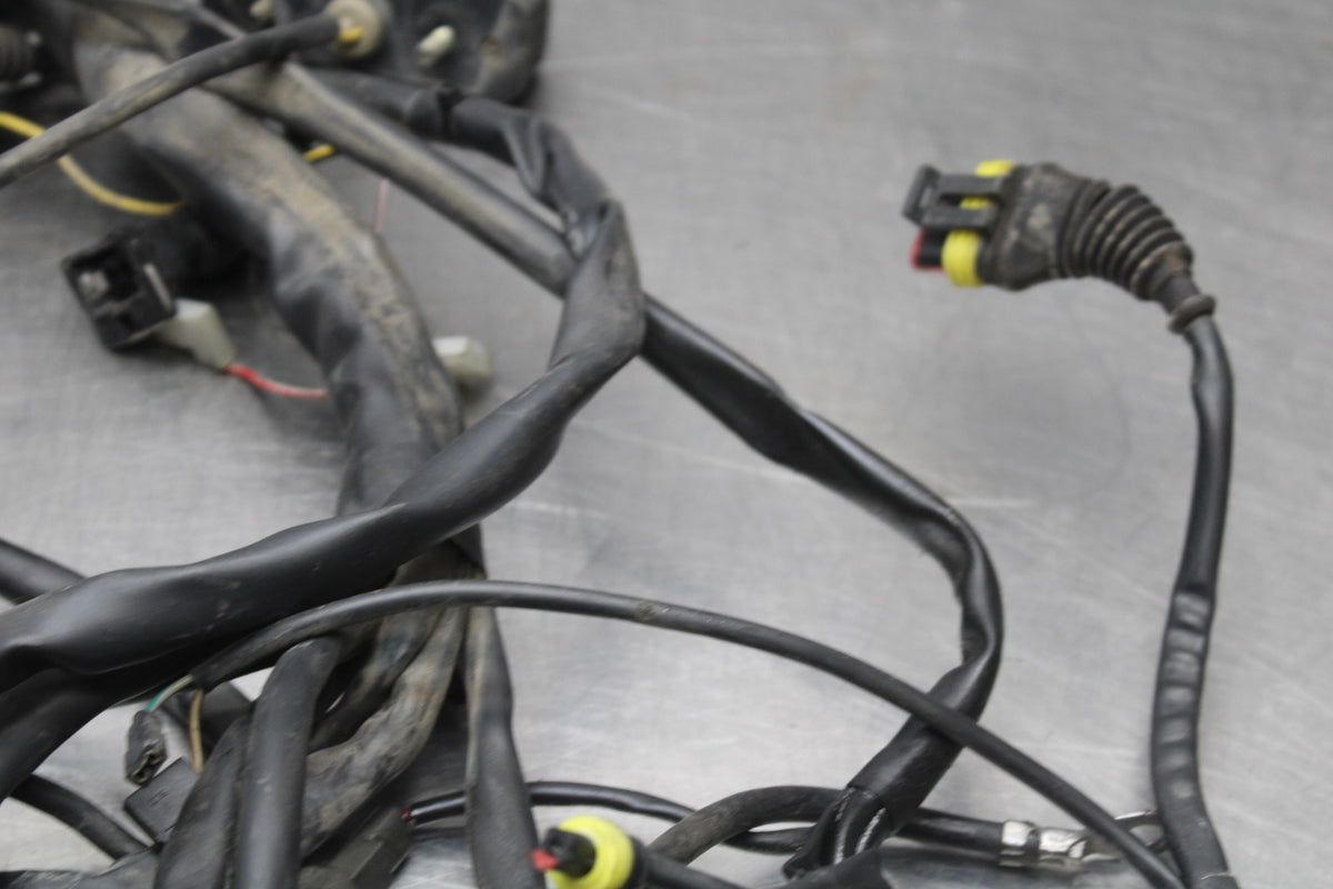 02 DUCATI MONSTER 620 MAIN ENGINE WIRING HARNESS MOTOR WIRE LOOM BB851