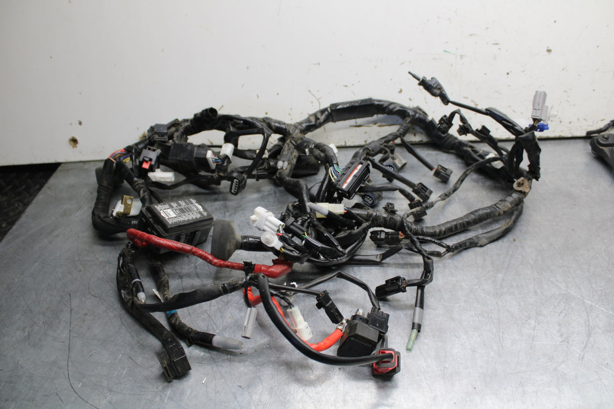22-24 YAMAHA XSR900 MAIN ENGINE WIRING HARNESS MOTOR WIRE LOOM BB710