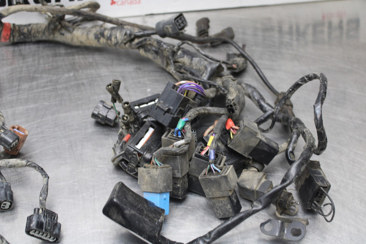 15 TRIUMPH TIGER 800 MAIN ENGINE WIRING HARNESS MOTOR WIRE LOOM BB873
