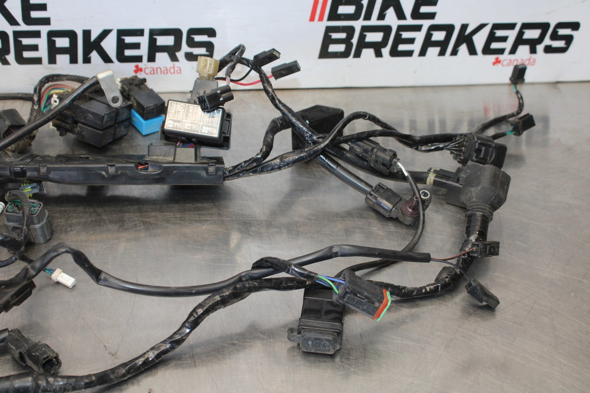 20 TRIUMPH STREET TRIPLE 765 MAIN ENGINE WIRING HARNESS MOTOR WIRE LOOM BB864