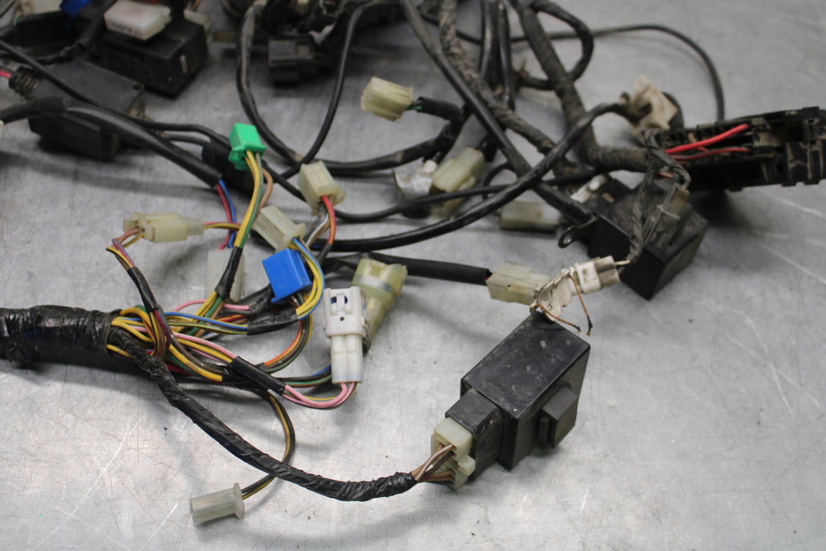 05-06 YAMAHA ROYAL STAR MAIN ENGINE WIRING HARNESS MOTOR WIRE LOOM BB697