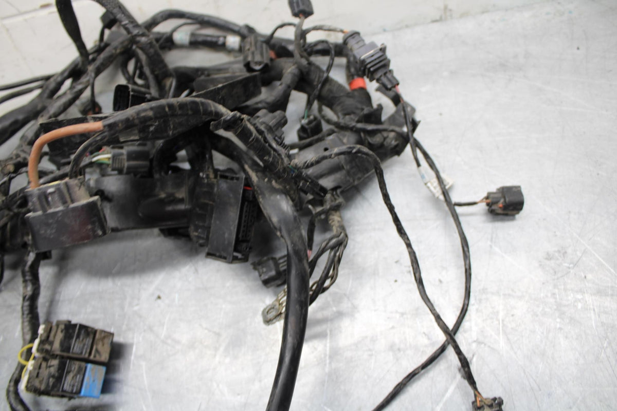 17-21 TRIUMPH STREET TRIPPLE R ABS MAIN  WIRING HARNESS MOTOR WIRE LOOM bb452