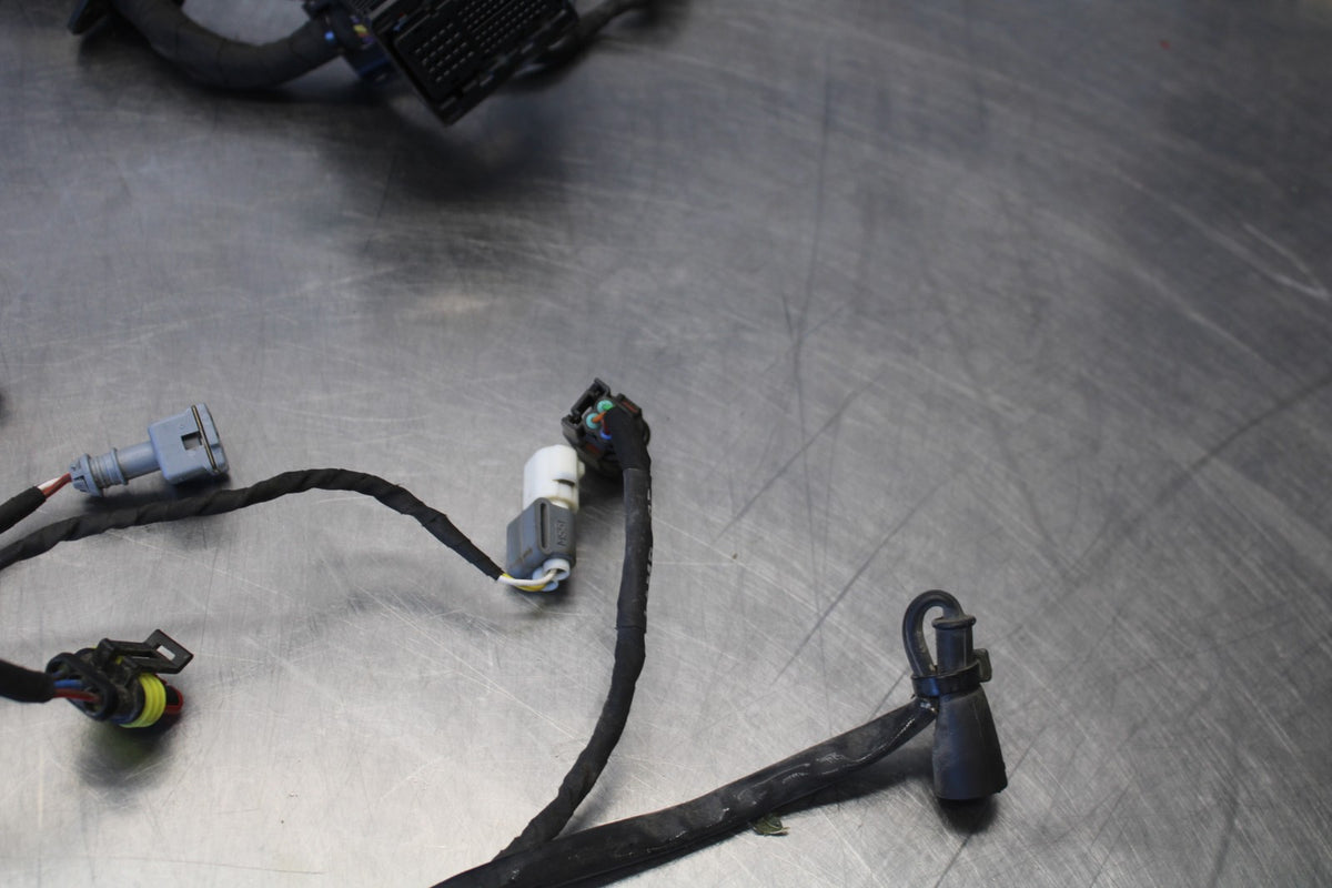 24 APRILIA TUONO V4 1100 FACTORY ABS SUB WIRING HARNESS SUB WIRE LOOM BB887