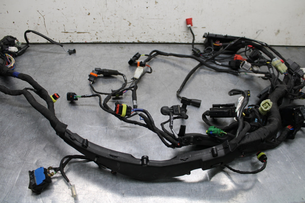 21-24 APRILIA TUONO 660 FACTORY MAIN ENGINE WIRING HARNESS MOTOR WIRE LOOM BB733
