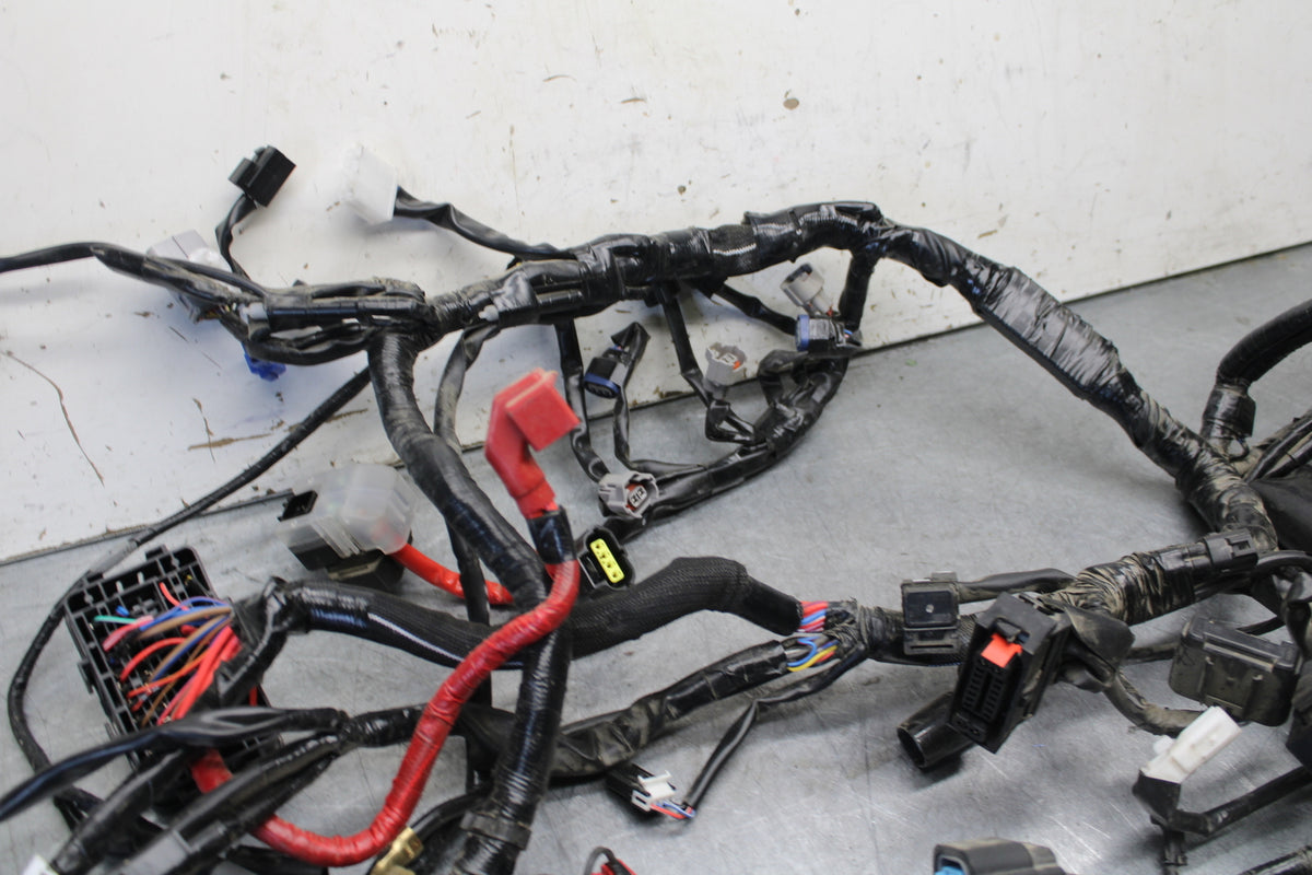 22-24 YAMAHA XSR900 MAIN ENGINE WIRING HARNESS MOTOR WIRE LOOM   BB683