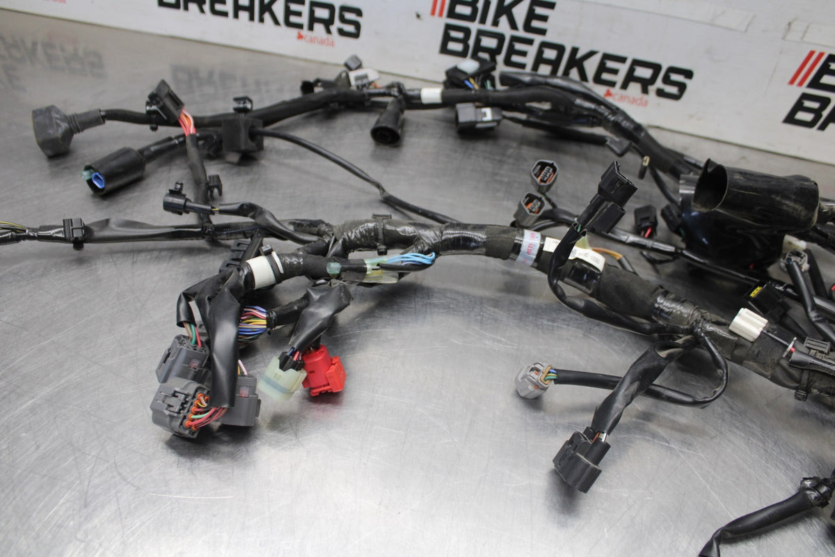 24-25 KAWASAKI NINJA ZX6R MAIN ENGINE WIRING HARNESS MOTOR WIRE LOOM BB939
