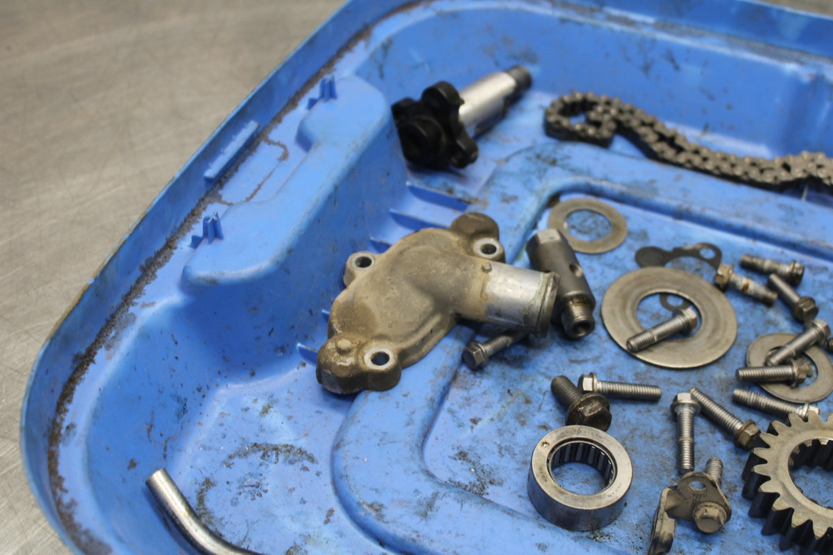 15 TRIUMPH TIGER 800 ENGINE BOLTS HARDWARE MOTOR SCREWS BB873
