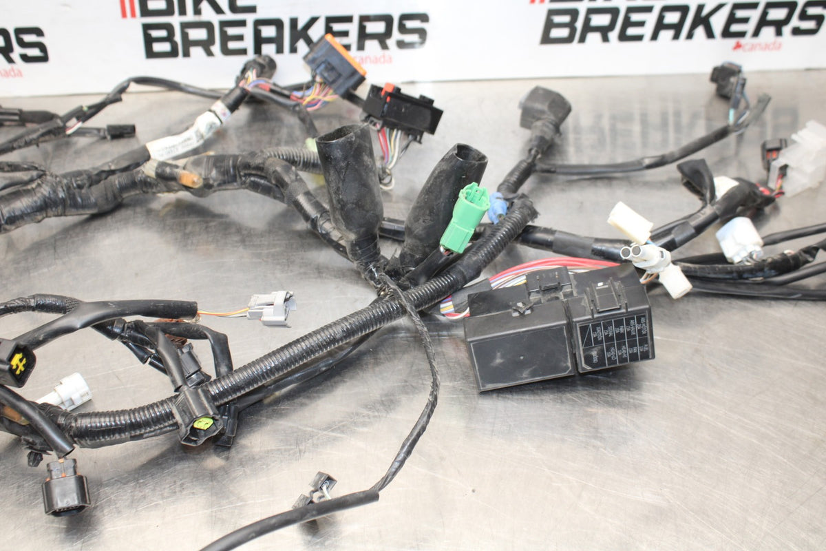 17-24 SUZUKI SV650 MAIN ENGINE WIRING HARNESS MOTOR WIRE LOOM BB829