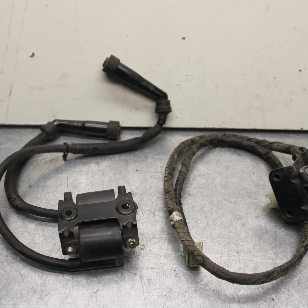 2007 Yamaha V Star 1300 XVS1300A IGNITION COILS BB78
